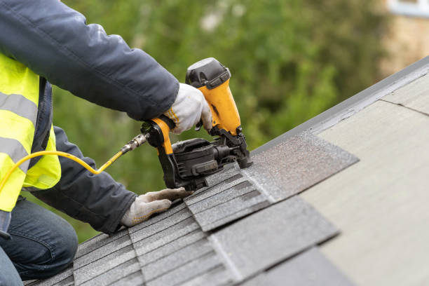 Best Roof Maintenance and Cleaning  in , IA