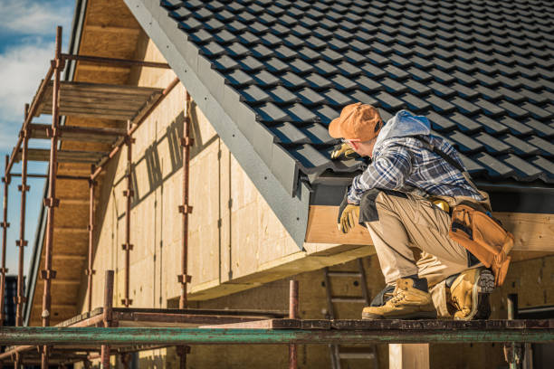 Best Gutter Installation and Repair  in , IA